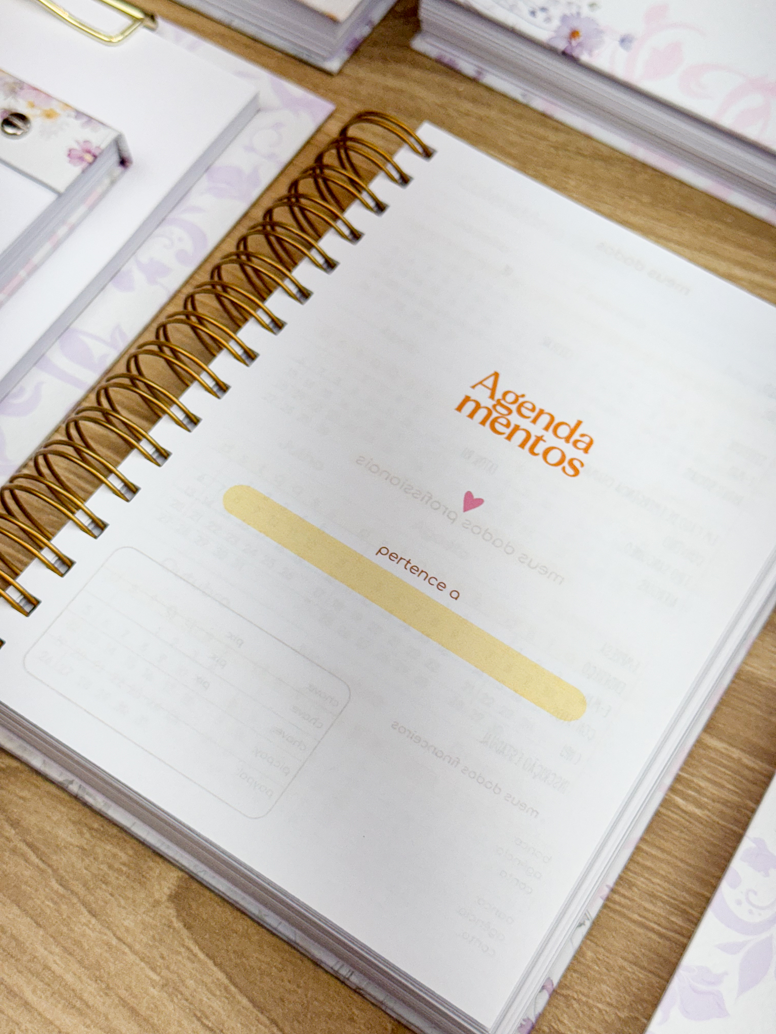 Agenda da Lash Designer 2025 - Imagem 2