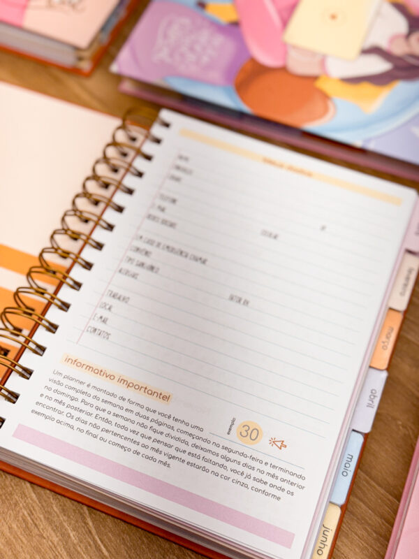 Planner 2025 - Pra ser incrível! - Imagem 6