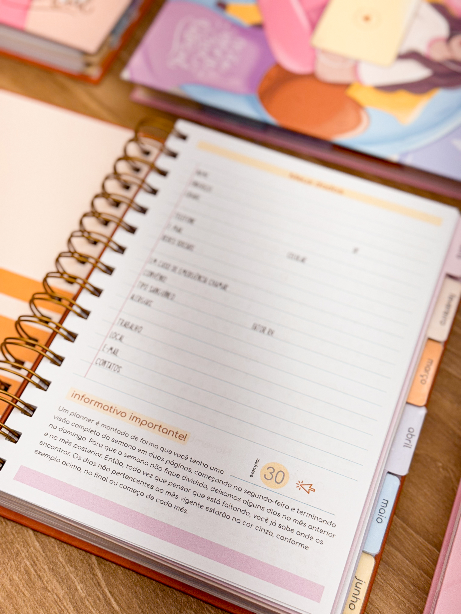 Planner 2025 - Pra ser incrível! - Imagem 6