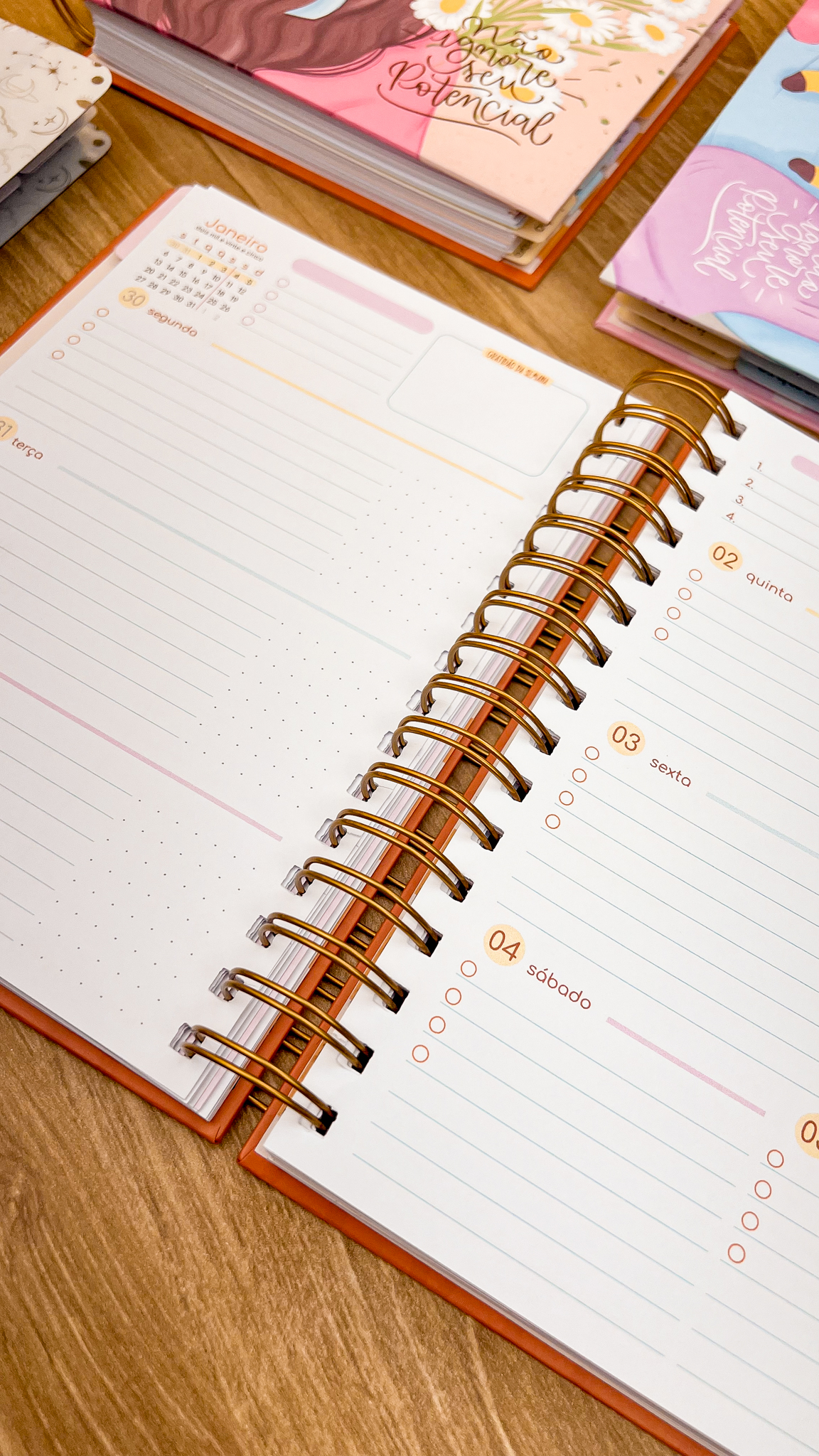 Planner 2025 - Pra ser incrível! - Imagem 5